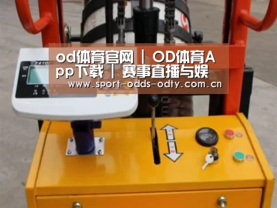 od体育下载案例展示三